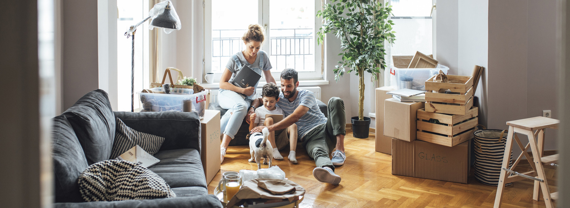 ELP OUVERTURE à Saint-Pierre-du-Perray, membre du réseau expert Vachette